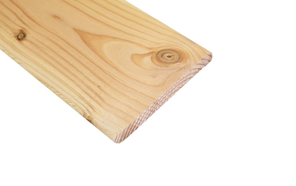 koppeling verdwijnen Poging Planken Lariks Douglas 1.6 x 14 x 180 cm Flex Fence 220 cm