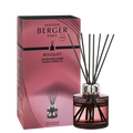 Bouquet Parfumé Maison Berger Duality Black Angelica 180 ml