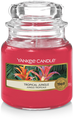 Yankee Candle Geurkaars Small Tropical Jungle - 9 cm / ø 6 cm