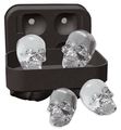Cubetto di ghiaccio Paderno BAR Skull - 4 Cubi
