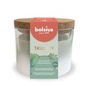 Bolsius Duftkerze True Joy Botanic Freshness - 7 cm / ø 8.5 cm