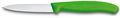 Victorinox Schilmes Swiss Classic - Groen - 8 cm