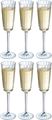 Copas de Champagne Cristal d'Arques Macassar 170 ml - 6 Piezas