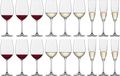 Schott Zwiesel Wijnglazenset Classico (Rode wijnglazen &amp; Witte Wijnglazen &amp; Champagneglazen) - 12 delige set