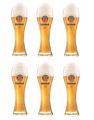 Erdinger Bierglazen 330 ml - 6 Stuks