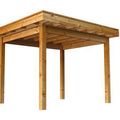 houten overkapping 300 cm