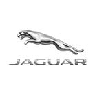 Jaguar {1}