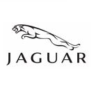 Jaguar {2}