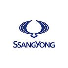 Car Bags Ssangyong