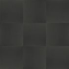 Terrastegel Antraciet Zwart 60x60x4 cm Excluton met deklaag - Populair