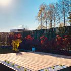 Kundenfoto - Terrasse aus Padouk Hartholz