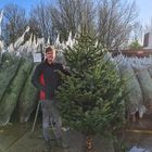 grote-echte-kerstboom-kopen-225-250cm.jpg