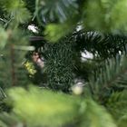 Künstlicher Weihnachtsbaum Wassenaar