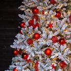 Kunstigt juletræ Winterberg