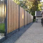 Panneaux de jardin en mélèze douglas deLuxe - Palissade - 180 x 180 cm