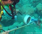 catching lionfish aruba