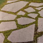 Natürlicher Gartenweg aus Steinplatten und niedrigen Gartenpflanzen