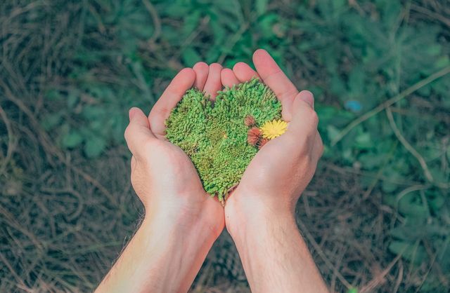 Warum das Streichen und Behandeln von Holz gut für die Umwelt ist!