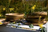 Resize-Silhoutte-Geel-2.jpg