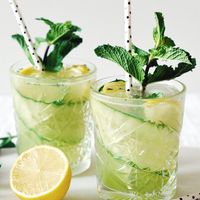 Gin Tonic met komkommer & limoen