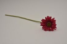11808-8.jpg