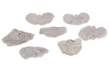 25330-010.jpg