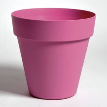 26232.jpg