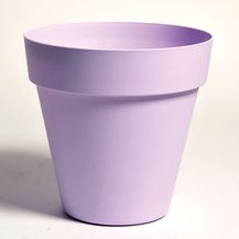 26263.jpg