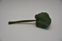 30553-1.jpg