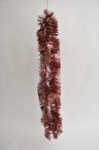 401156.jpg