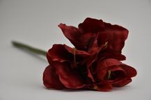 85440-3.jpg