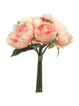 86364-7.jpg