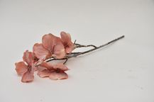 88735-5.jpg
