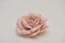 88747-7.jpg