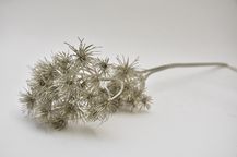 88803-9.jpg