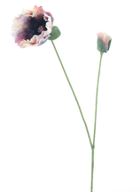 13588-6.png