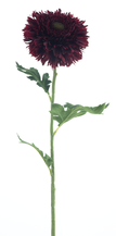 13606-3.png