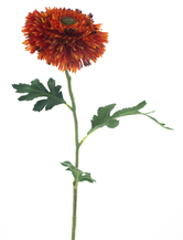 13606-5.png