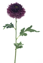 13606-6.png