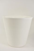 2466-011.jpg