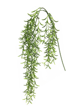 31058-1.png