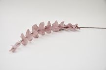 88377-6.jpg