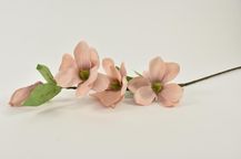 91231-9.jpg