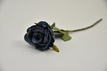 92254-4.jpg
