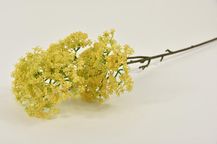 92431-2.jpg