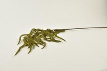 92580-9.jpg