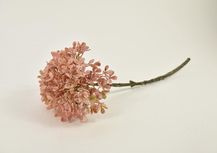 92584-7.jpg