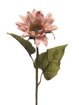 92711-7.jpg