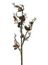 92835-8.jpg