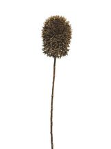 93085-8.jpg